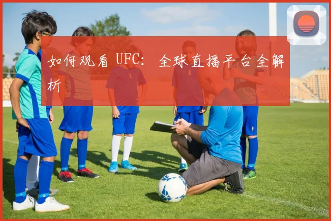 如何观看 UFC:全球直播平台全解析