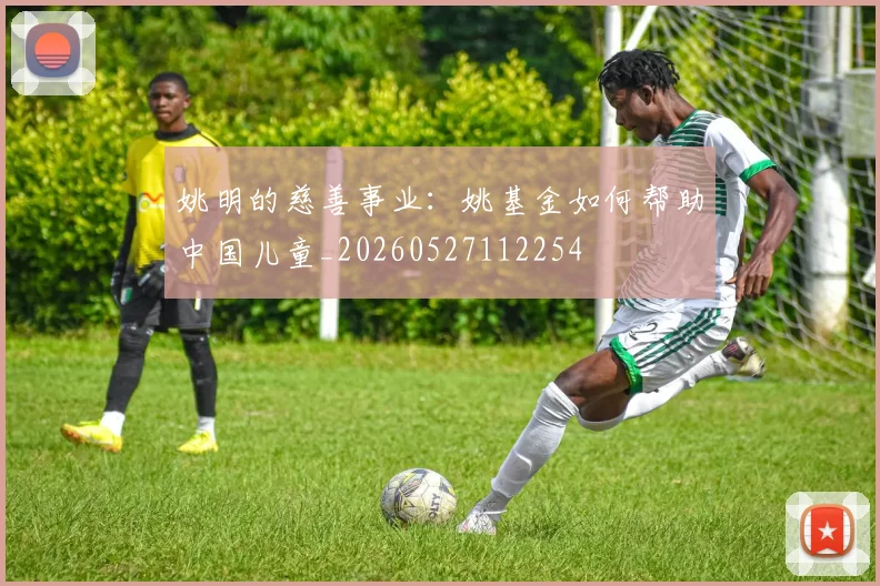姚明的慈善事业:姚基金如何帮助中国儿童_20260527112254